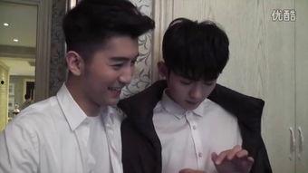 国产gay,多元文化的探索与呈现